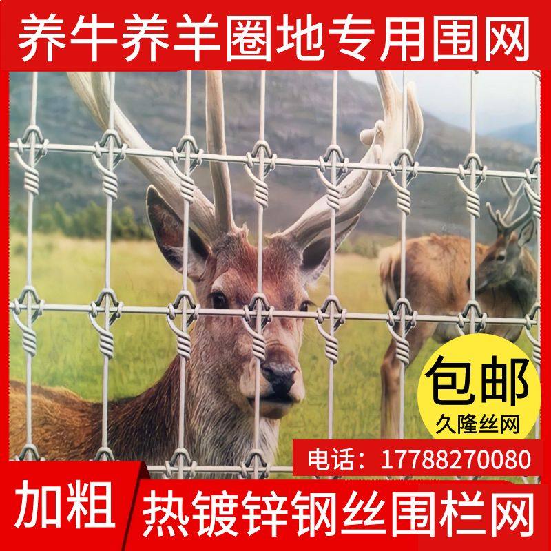镀锌防锈养殖栏铁牛网围栏防护网护栏网丝栏网养牛养羊果园围网网