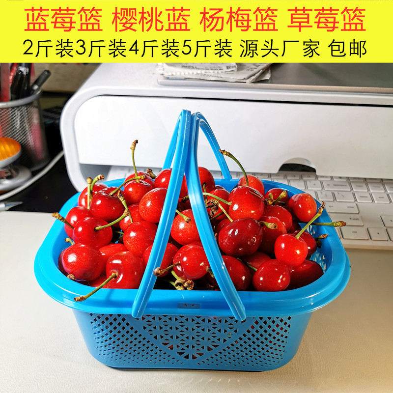 蓝莓篮杨梅篮234装斤5篮莓篮樱桃蓝车厘子篮塑料水果篮鸡蛋草胶框