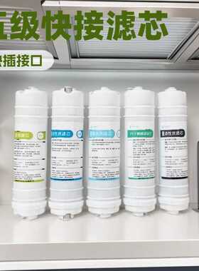 10寸通用韩式滤芯快接一体滤芯五级大T滤芯净水机滤芯五支