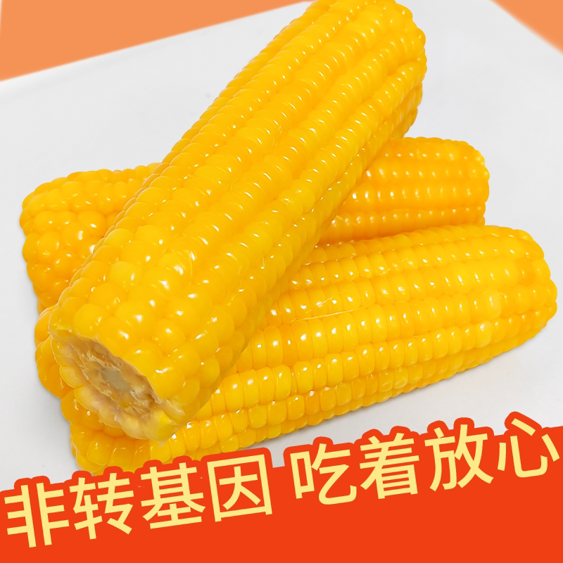 东北糯玉米粘糯甜新鲜批发低脂代餐黄玉米黄玉米真空锁鲜