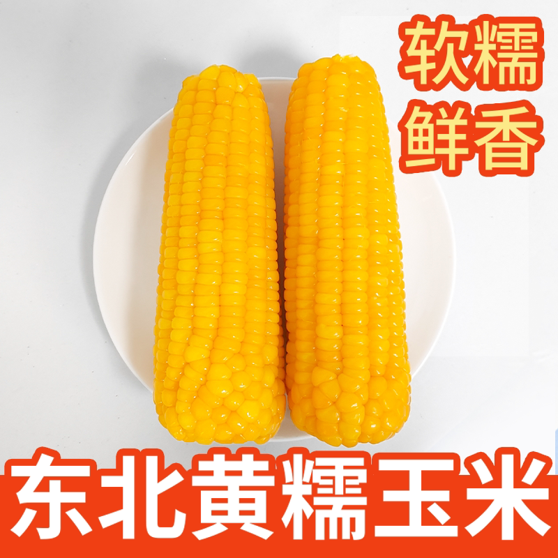 黑土地东北糯玉米粘糯甜新鲜批发低脂代餐黄玉米黄玉米真空锁鲜