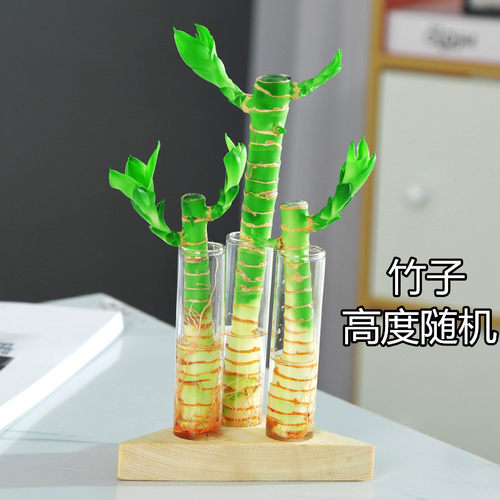 创意简约水培植物玻璃花瓶办公摆件花盆透明水养绿萝观音竹插花瓶