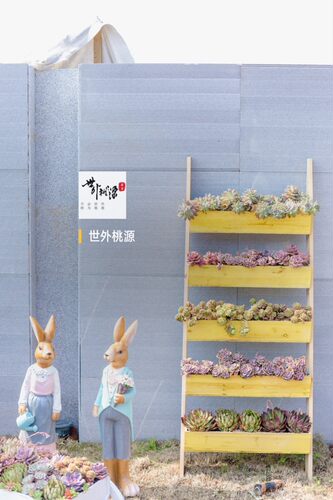 户外实木梯子架靠墙立体多层花架三层槽垂直立体花园矮牵牛置物架