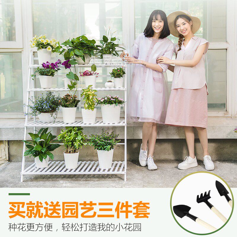 花架子置物架室内阳台落地式木艺实木多肉绿萝植物多层客厅花盆架