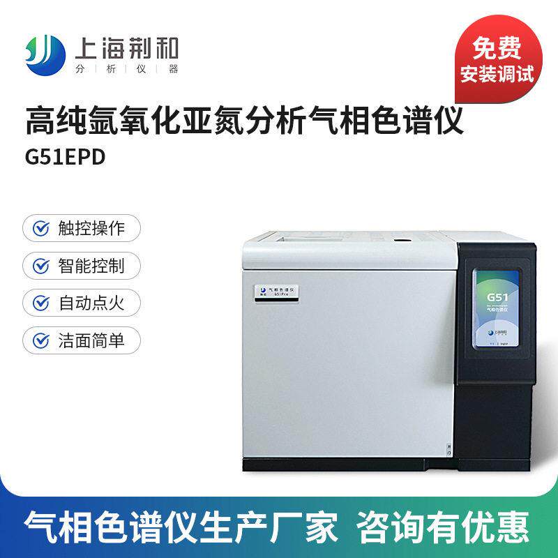荆和纯氩析痕氮量氮分析仪在线氧化亚气相色谱分仪G51EPD色谱仪