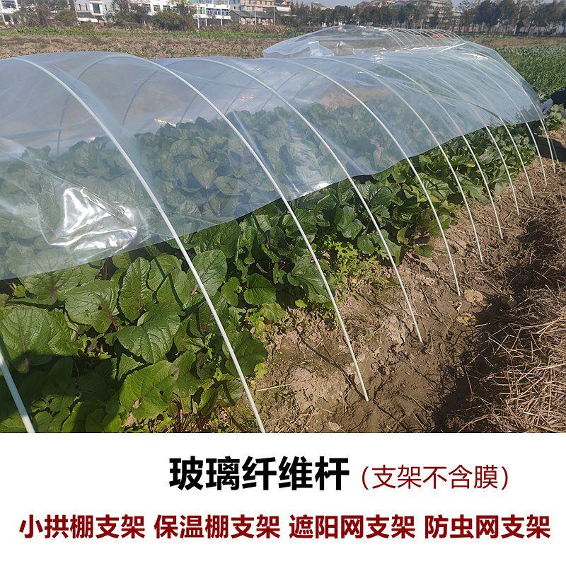 拱棚玻纤杆小拱棚保暖温棚花棚遮阳防虫杆棚支架骨拱大竿蔬菜农用