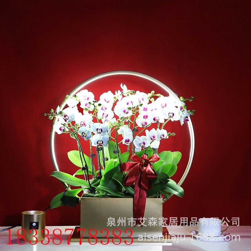 新中柳带灯蝴蝶兰花盆冬青银式年桶花插花器花篮金属福宵客厅摆件
