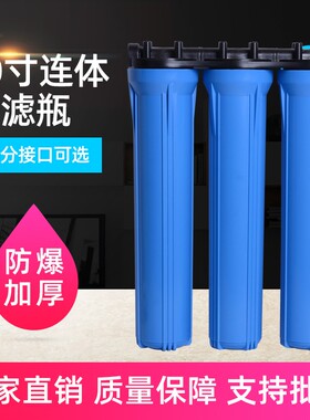 20寸分滤瓶4蓝6分口前置过色器蓝滤滤筒商用净水器售水机连体滤瓶