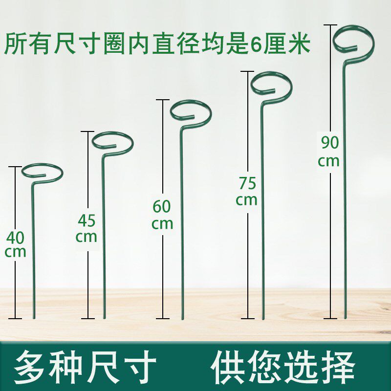 花架子绿植支撑杆室内外花卉金钱树固定架月季爬藤防倒伏铁艺单杆