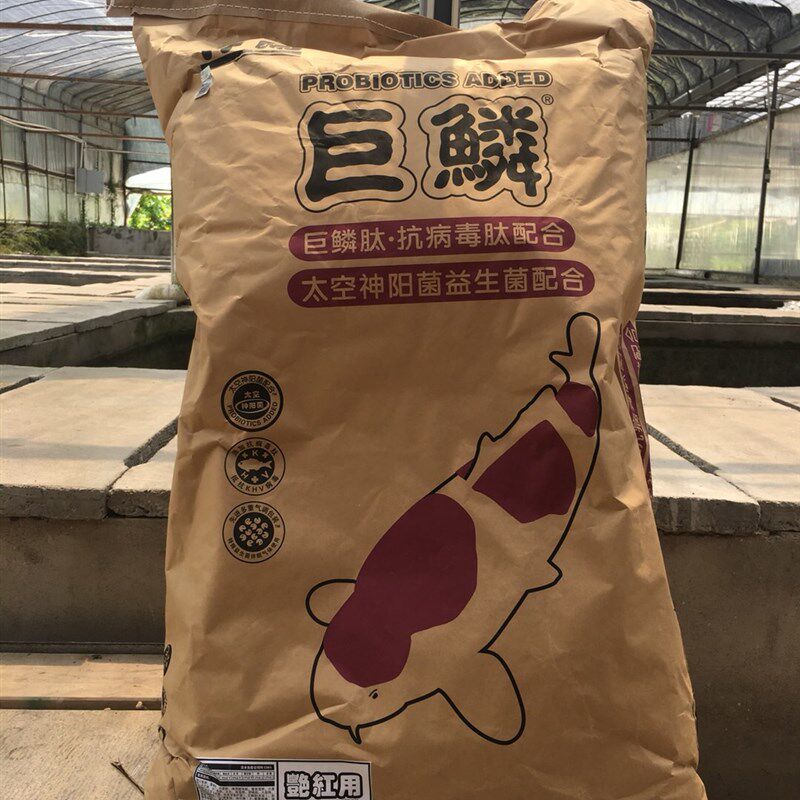 神阳锦鲤鱼饲料鱼食鱼粮高蛋白质不浑水包邮增体色扬育成颗粒成语