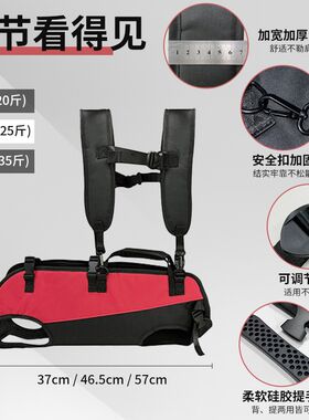 狗狗坐电动车外出神器大狗骑摩托宠物背包外出双肩便携包背带固定