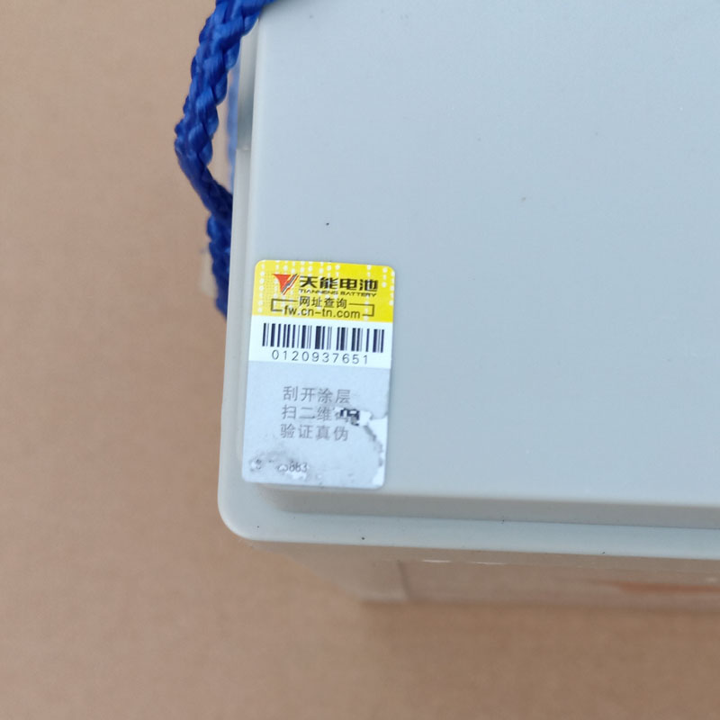 时风电动汽车天能电瓶 6V200AH 时风电动轿车免维护干电池蓄电池