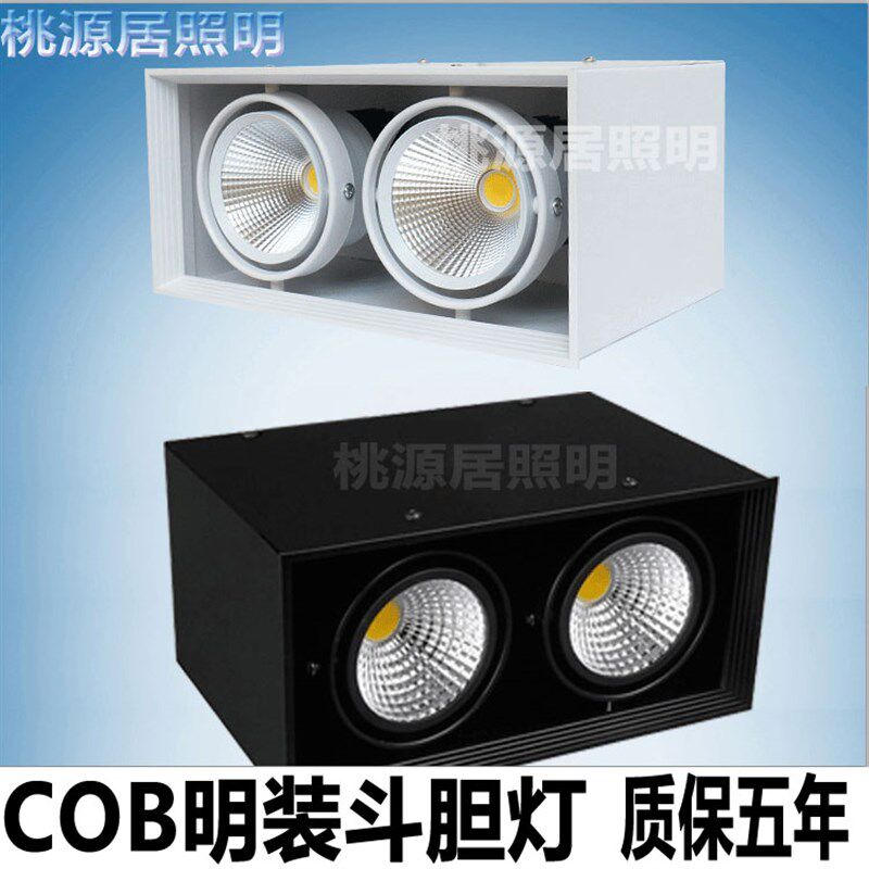 led斗胆灯明装天花射灯方形吸顶免开孔筒灯单头双头三头cob豆胆灯
