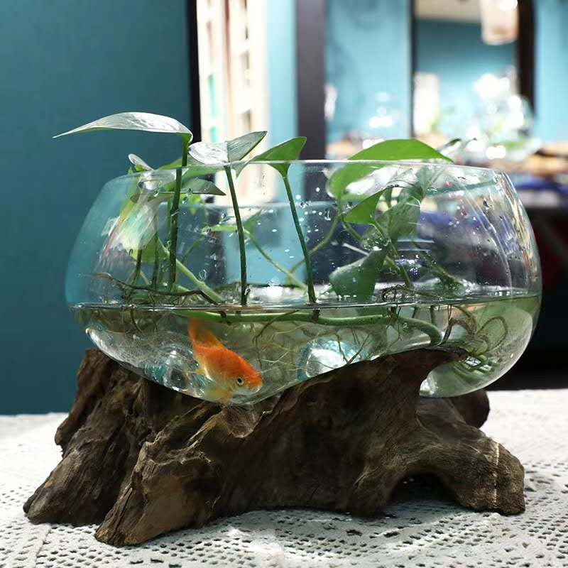 沉木枯木创意个性绿萝铜钱草玻璃水培花插 禅意 新中式小鱼缸摆件