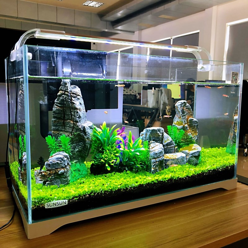 小金鱼缸型水族箱超白晶玻璃客厅免换裸生态草造景办公室桌面包邮