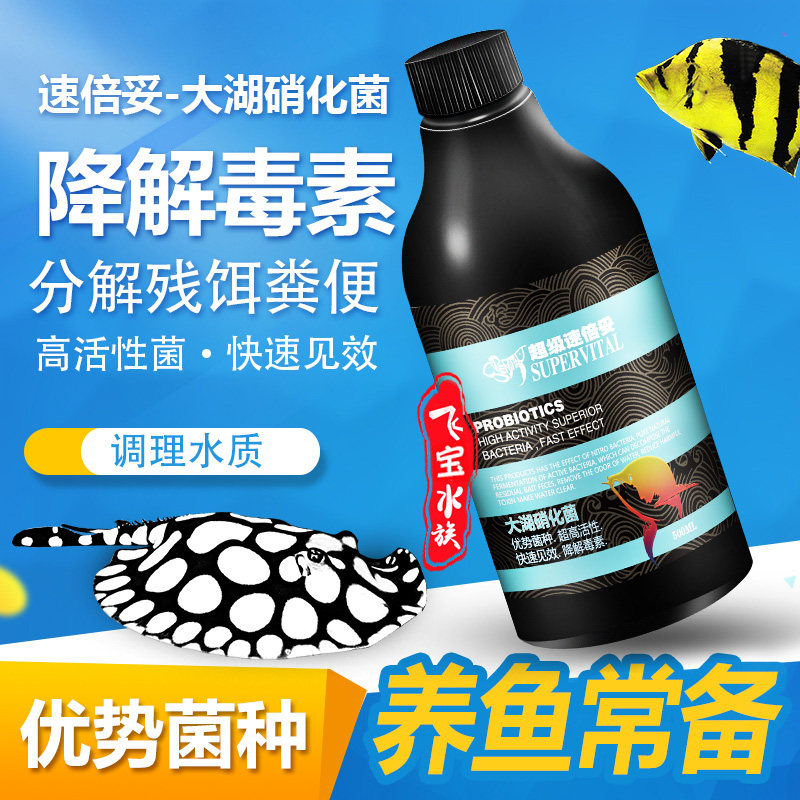 超级速倍妥硝化细菌鱼缸清水剂除氯剂水立清锦鲤活水剂龙鱼维生素