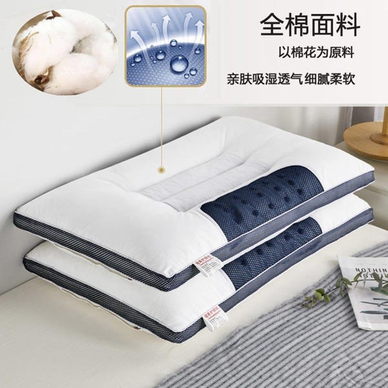 一对装家用决明子荞麦皮薰衣草枕功能枕/保健枕/养生
