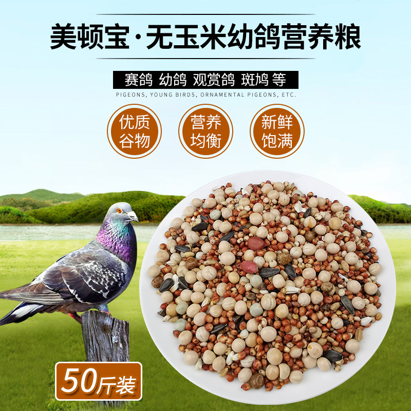 美顿宝无玉米鸽粮50斤斑鸠鸟食营养饲料赛鸽幼鸽信鸽肉鸽鸽子粮