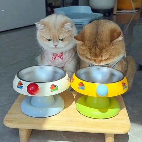 猫碗大口径不脏脸猫食盆加高保护颈椎宠物猫咪饭碗水碗不锈钢狗碗