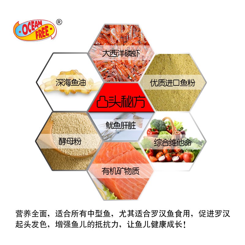 仟湖罗汉鱼饲料中国热带鱼水族箱鱼粮中型观赏鱼鱼食金花鸿运