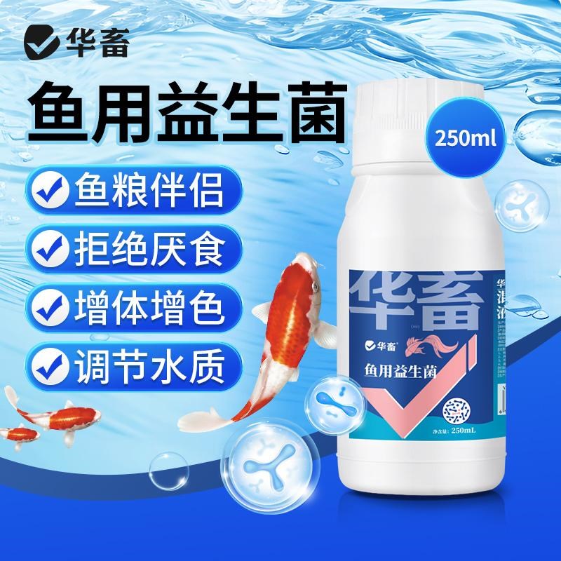 华畜鱼用益生菌锦鲤em菌调节肠道消化鱼池鱼缸水族用菌种饲料伴侣图片