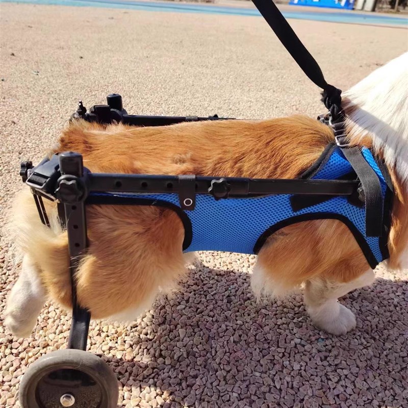 狗轮椅后肢瘫痪康复小型犬代步残疾车猫辅助泰迪宠物狗狗后腿支架
