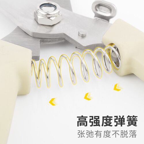 果树修枝粗枝剪刀园艺园林修花枝剪家用强力花剪子神器剪枝剪刀