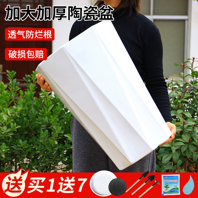 陶瓷花盆大口径高颜值特带托盘简约白色客厅落地盆栽加厚绿植盆栽