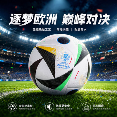三环欧洲球赛标准球无缝热贴足球