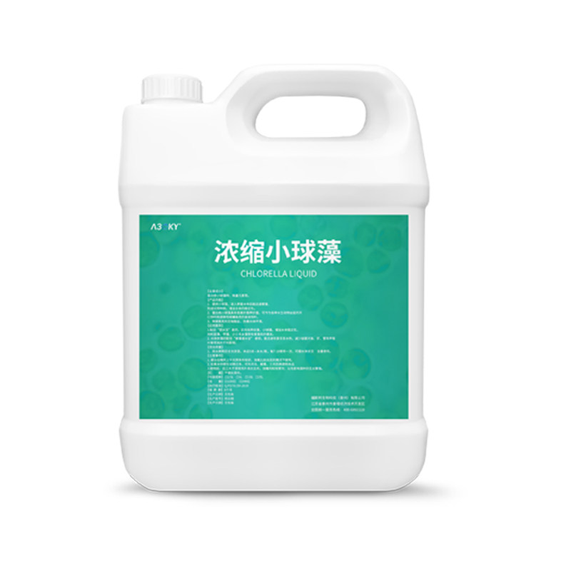 小球藻藻种浓缩绿藻硅藻藻种绿水复合藻种水产养殖鱼缸培养基肥水
