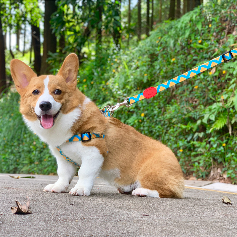 狗狗牵引胸背带外出中型犬柯基小型犬泰迪背心式哈士奇柴犬胸背带