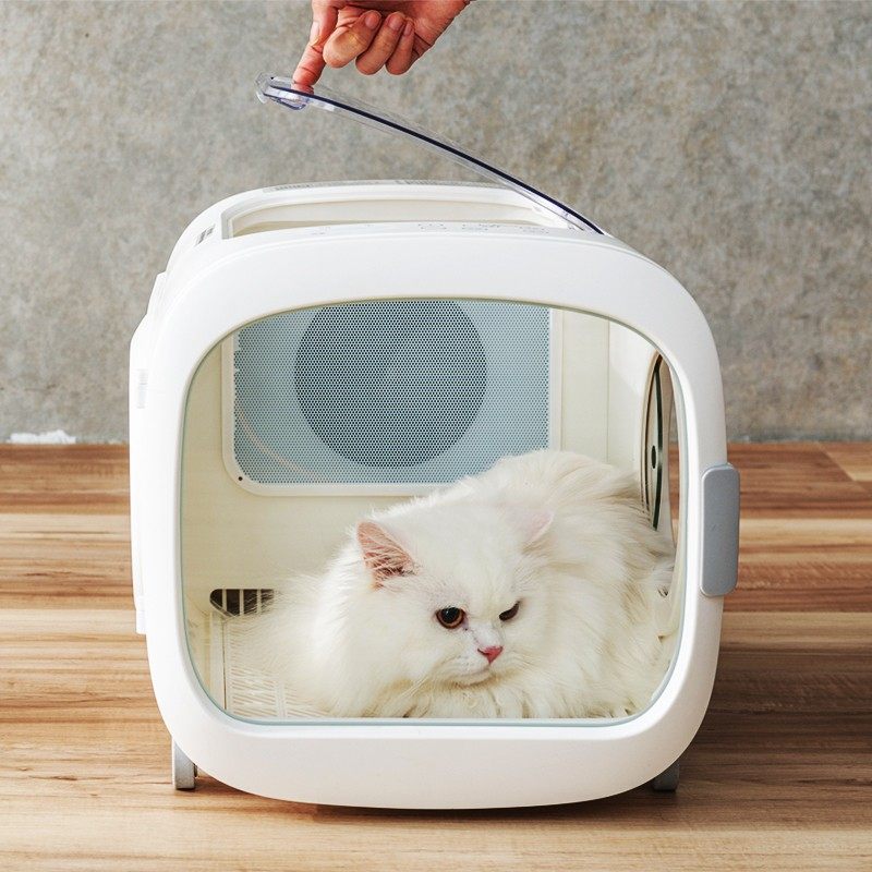 清度自动宠物烘干箱小狗猫咪洗澡吹风烘干燥去水毛消毒异味机箱器