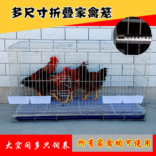 家用自动滚蛋特大号鸡笼鸡舍鸡笼子养殖笼运输加粗鸭笼鹅笼兔笼
