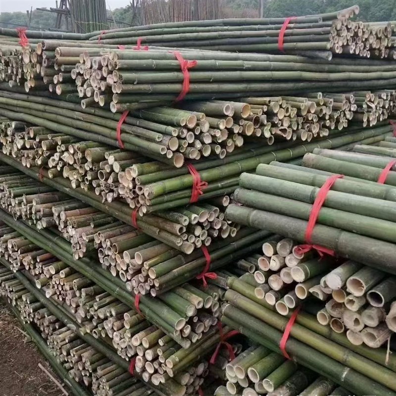 竹竿菜园搭架粗竹竿彩旗旗杆跳舞竹竿大毛竹工地用搭架刀旗旗杆子