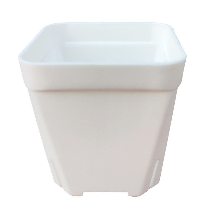 50个7x7cm加厚小白方多肉花盆特厚塑料方形植物叶插育苗盆黑方盆