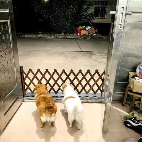 宠物围栏狗笼隔断拦狗栅栏阳台隔离门可伸缩栅栏门挡狗挡猫护栏