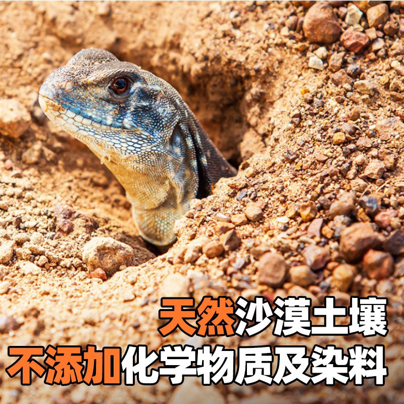 希瑾爬虫饲养箱造景黏土RERRA爬宠鬃狮守宫蜥蜴陆龟石漠垫材沙漠