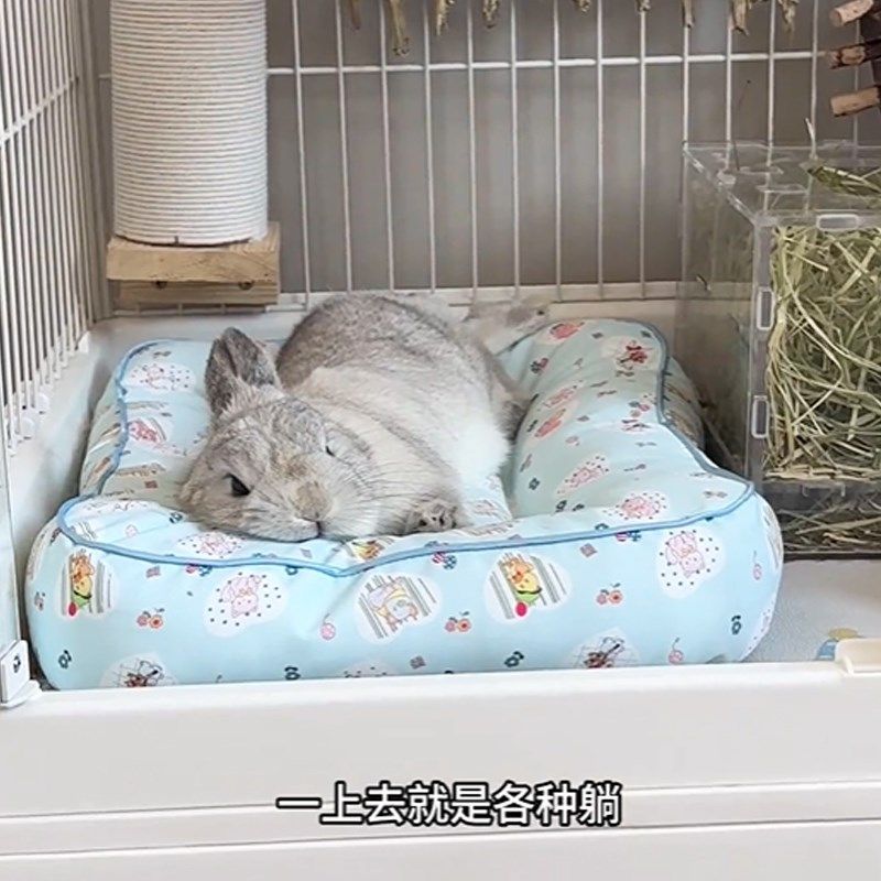 兔子窝趴趴垫夏季垫子猫咪狗狗四季通用兔兔睡垫加厚睡觉用的头垫