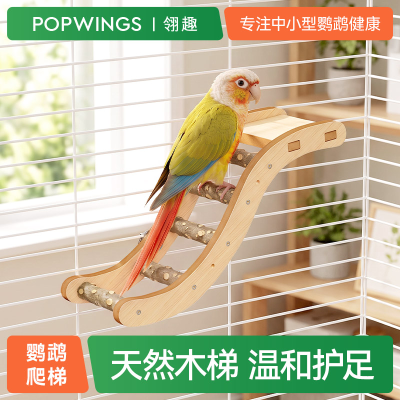 翎趣鹦鹉花椒木s型攀爬站架平台图片