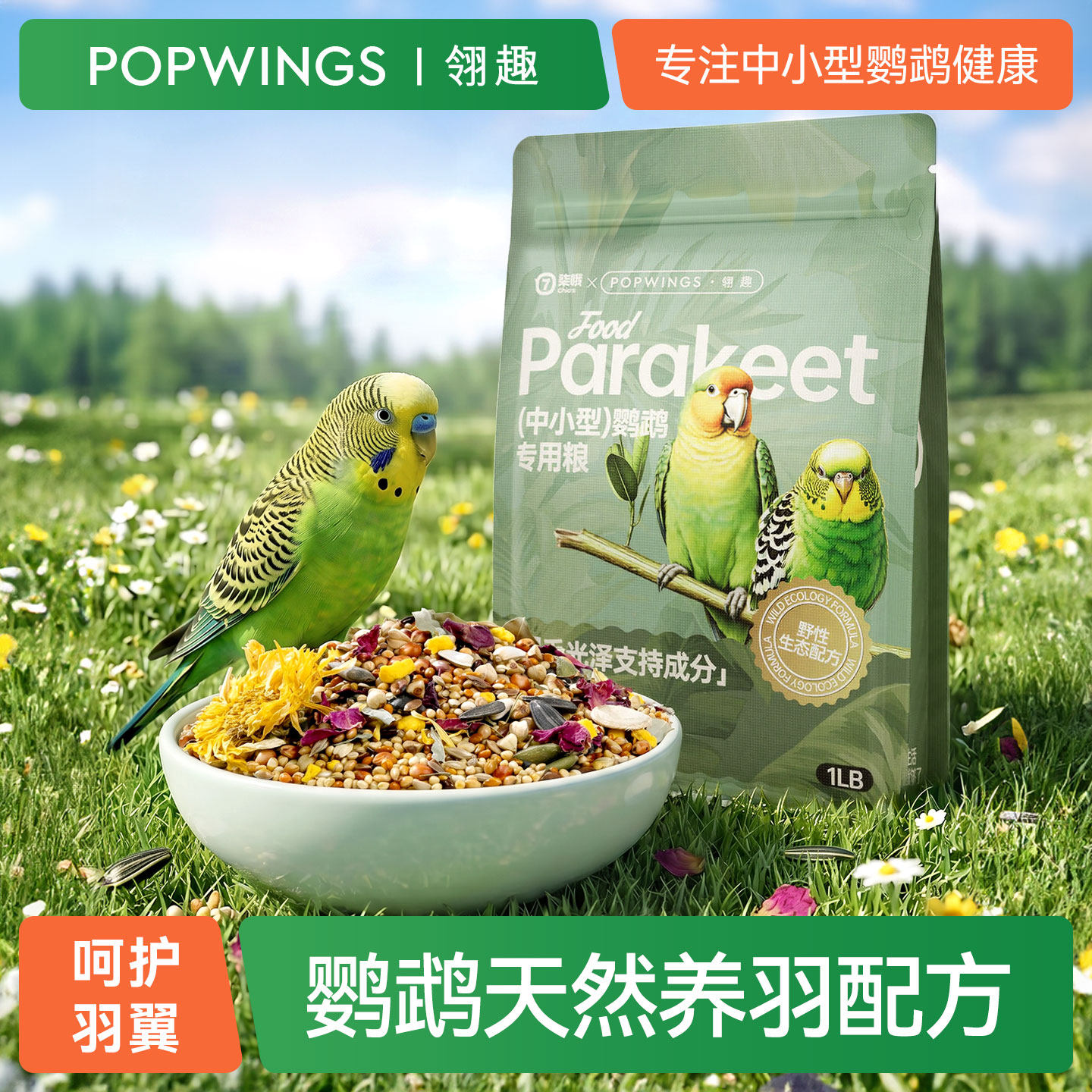 中小型鹦鹉自然养羽护羽营养粮食