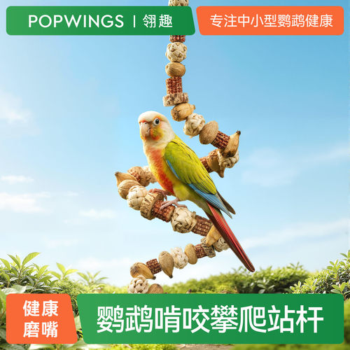 鹦鹉磨爪秋千站架攀爬串牙喙啃咬解闷玩具天然鸟自嗨杆笼内用饰品
