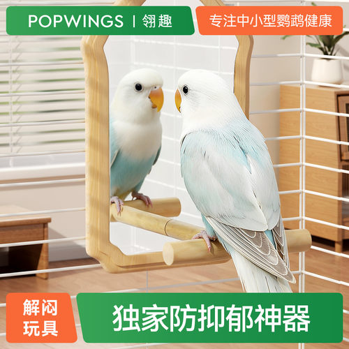 鹦鹉全身镜解闷玩具原木站杆