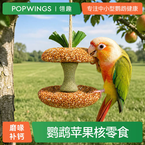 翎趣鹦鹉苹果核磨牙解闷零食