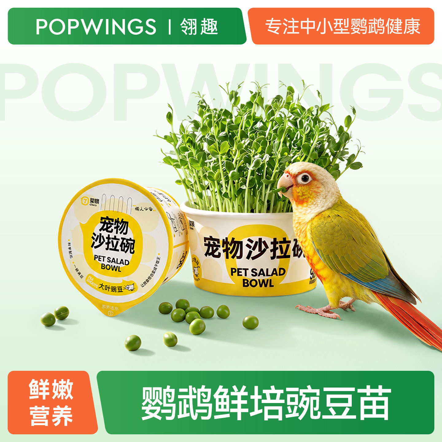 鹦鹉豌豆苗天然鸟玩具大麦草啃咬解闷蔬菜中小型鹦鹉宠物沙拉碗