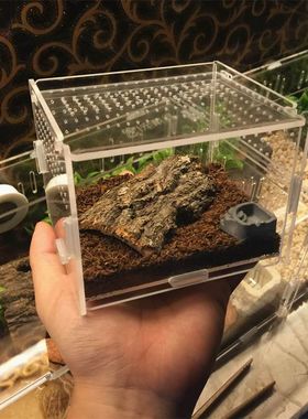 盒子螳螂宠物蟋蟀蝎子透明壁虎蜘蛛箱子蜗牛饲养箱别墅家用蟑螂
