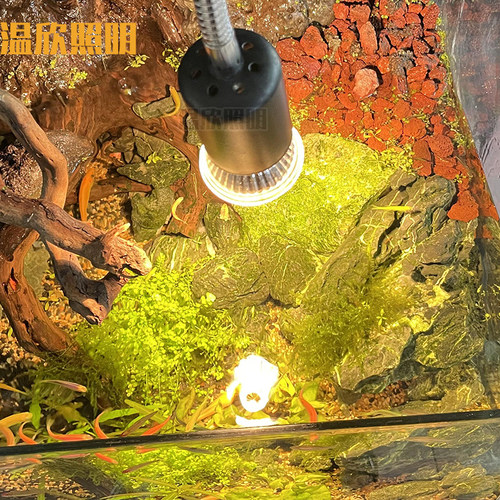 乌龟爬宠晒背灯保温灯uvauvb太阳灯加热龟缸灯植物生长爆藻水草灯