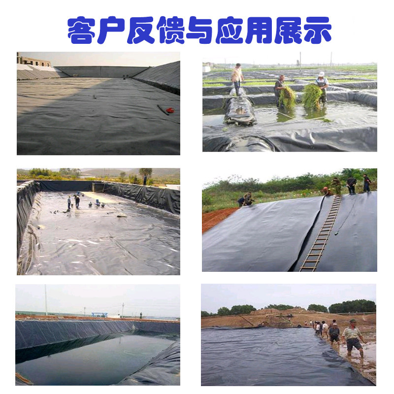国标鱼塘防渗膜加厚PE土工膜水池防水膜黑色塑料膜多功能农用薄膜