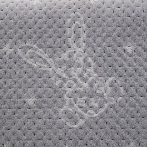 A类牛奶珊瑚绒乳胶枕套一对装40x60cm秋冬儿童单个保暖枕芯枕头套