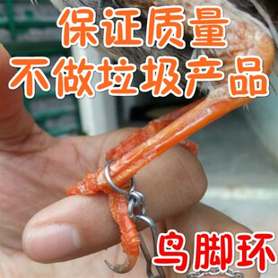 不锈钢手工鸟脚环/鹦鹉脚环/八哥/喜鹊/伯劳脚套/蜡嘴/鹩哥脚链