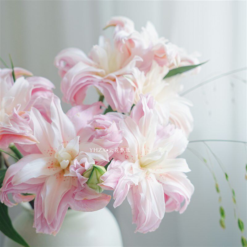 【云花甄选】浅粉色重瓣百合小盼草组合花期久鲜花新中式玄关装饰